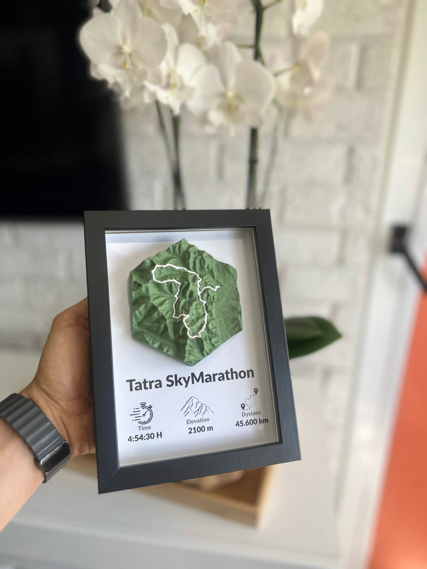 Górska Trasa 3D