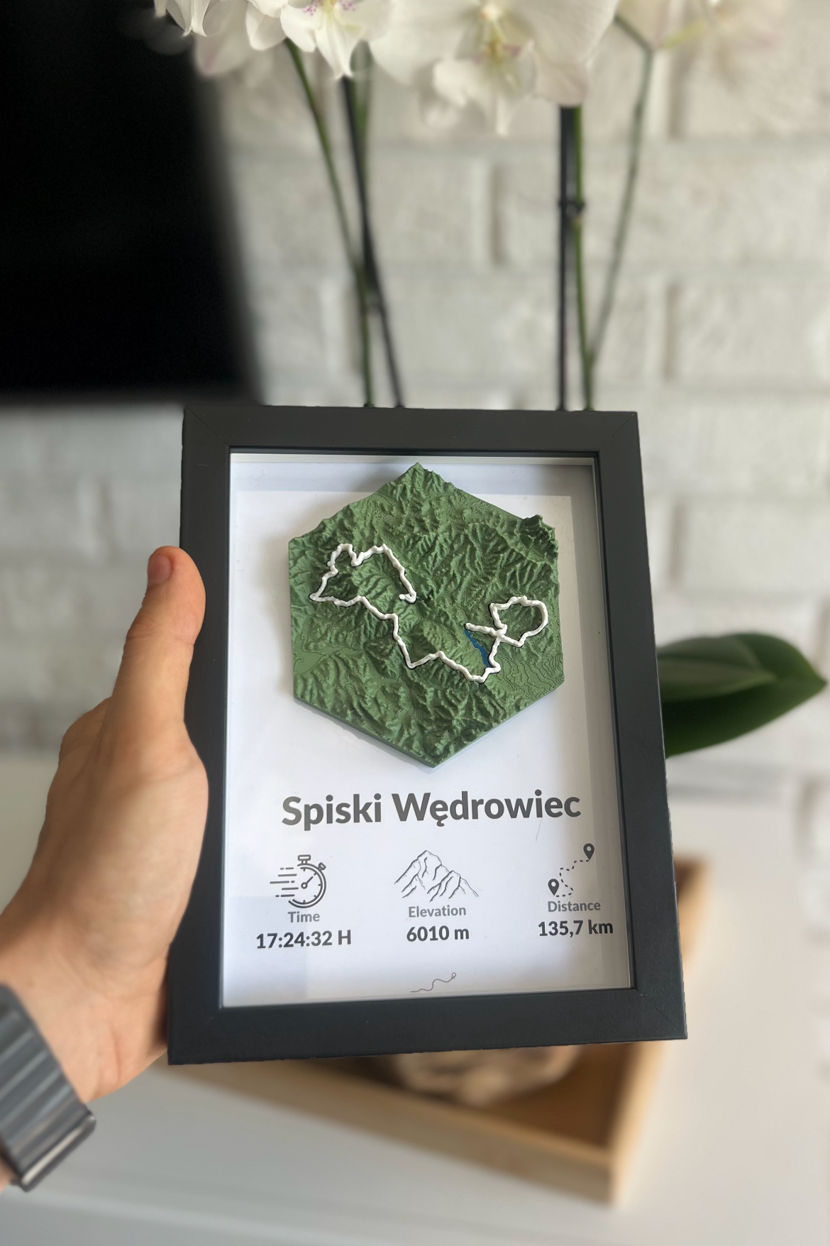Górska Trasa 3D